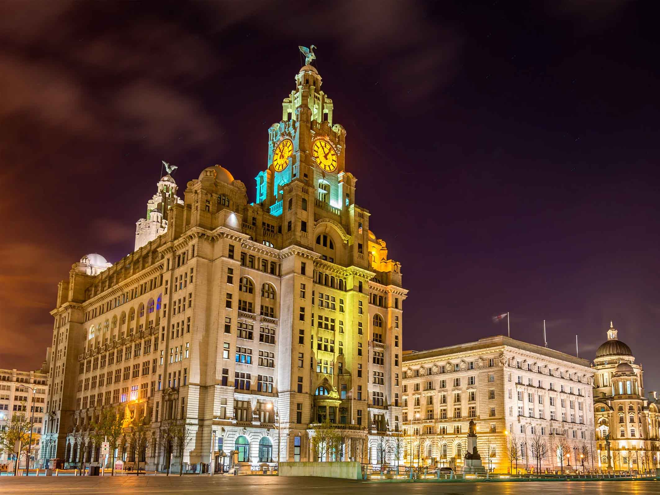 liver building