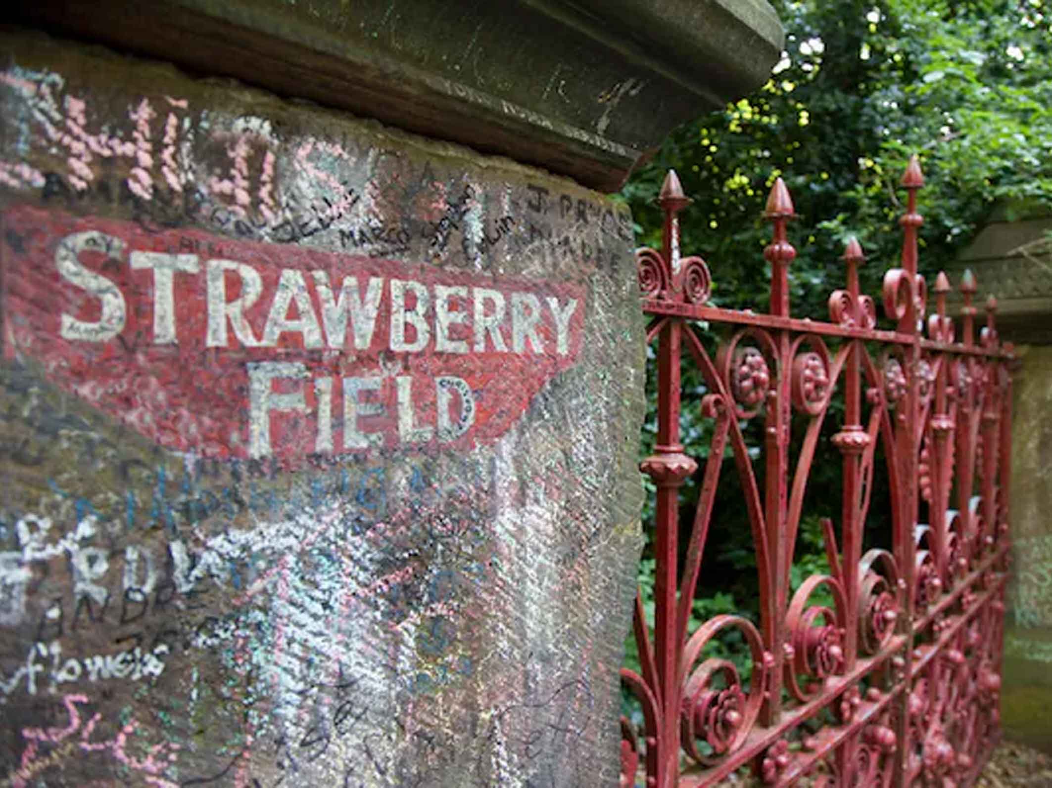 strawberry fields